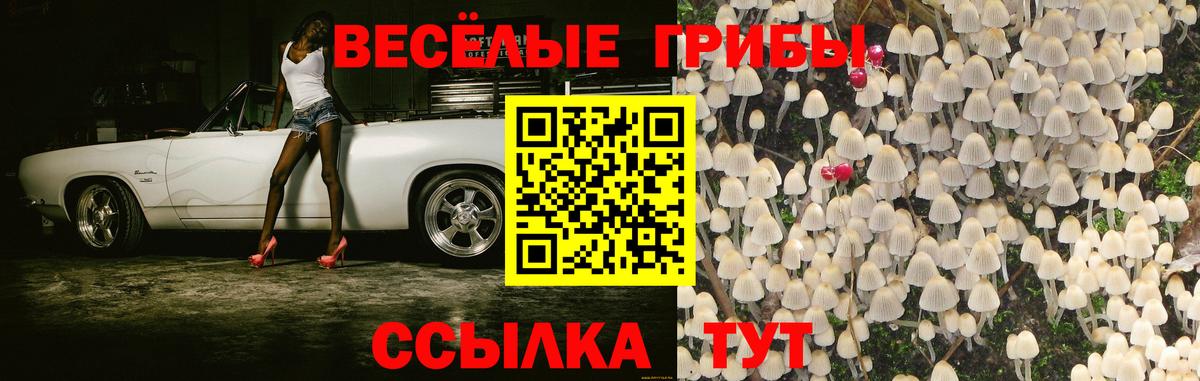 Псилоцибиновые грибы Magic Shrooms Семилуки